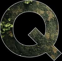 FAQ letter Q